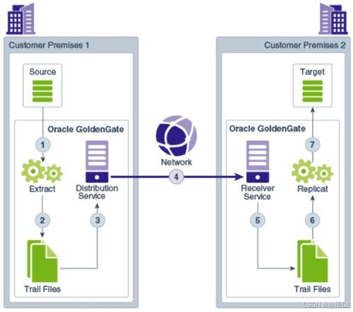 基于OGG 21c图形化实现9TB数据从Oracle 11g到19c的不停机迁移（上篇）——微服务架构详解与部署、同步问题总览